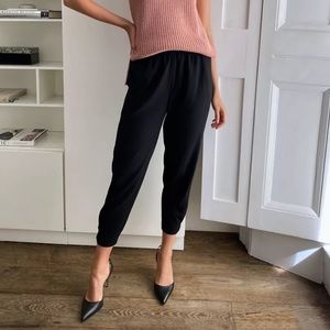 Aritzia Babaton Dexter Pant